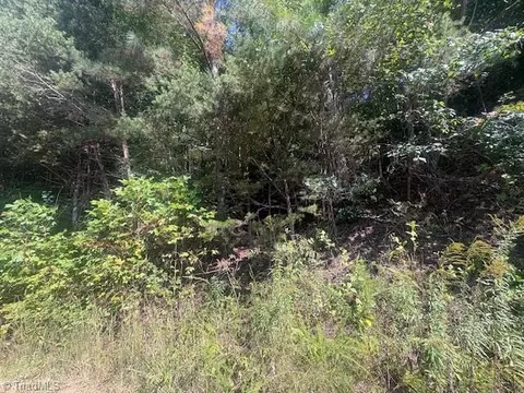 00 Parsonsville Rd, Purlear, NC 28665 photo 4