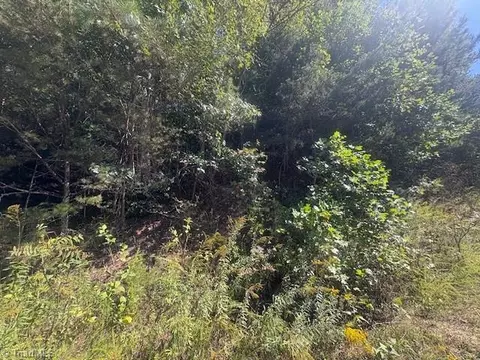 00 Parsonsville Rd, Purlear, NC 28665 photo 3
