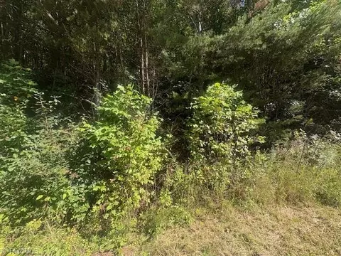 00 Parsonsville Rd, Purlear, NC 28665 photo 2