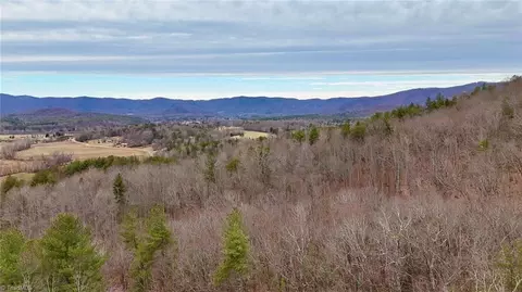 000 Big Rock Ln, Lowgap, NC 27024