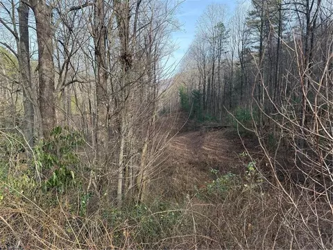 00 Longbottom Rd, Mcgrady, NC 28649