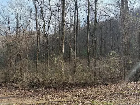 00 Longbottom Rd, Mcgrady, NC 28649 photo 3
