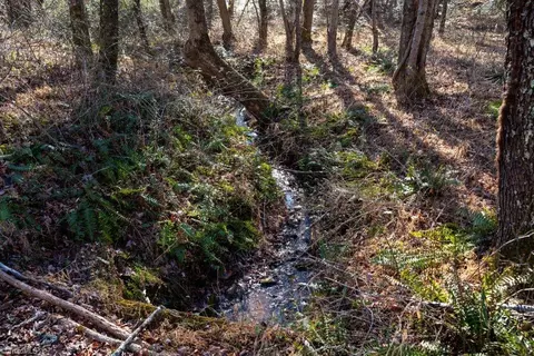 lot6 Morosko Ln, Pilot Mountain, NC 27041