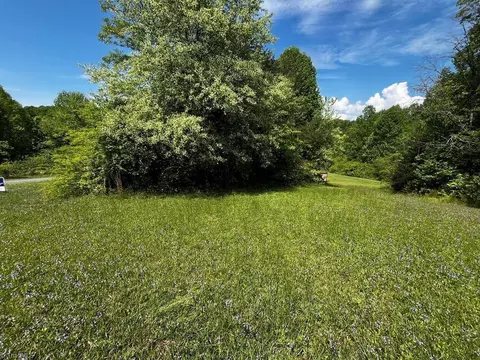 00000 Virgilina Cir, Cana, VA 24317