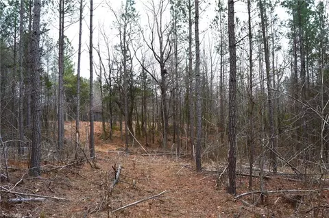 182 Dibrell Rd, Pelham, NC 27311 photo 19