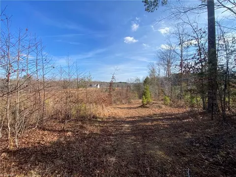 0 Johnny Shaw Rd, Moncure, NC 27599 photo 3