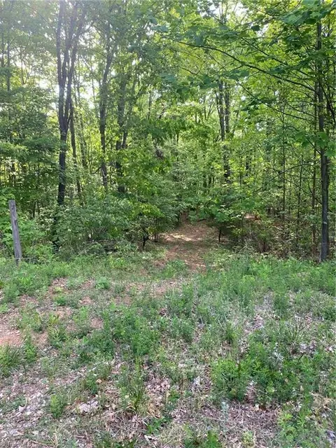 00 Angle St, Purlear, NC 28665