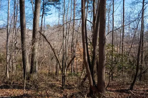lot5 Morosko Ln, Pilot Mountain, NC 27041