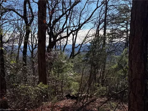 lot27 Bobcat Mountain Rd, Purlear, NC 28665