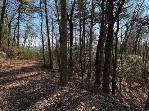 lot27 Bobcat Mountain Rd, Purlear, NC 28665 photo 5