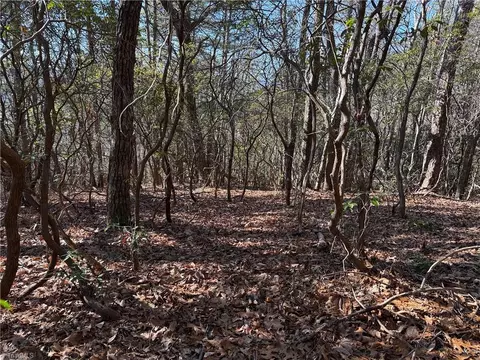 lot27 Bobcat Mountain Rd, Purlear, NC 28665 photo 10