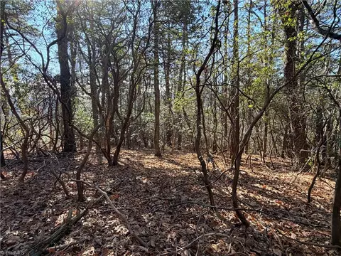lot27 Bobcat Mountain Rd, Purlear, NC 28665 photo 9