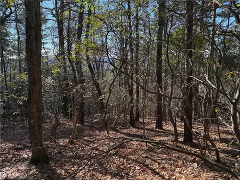 lot27 Bobcat Mountain Rd, Purlear, NC 28665 photo 13