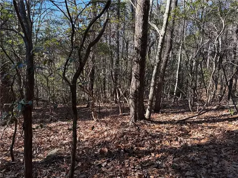 lot27 Bobcat Mountain Rd, Purlear, NC 28665 photo 12