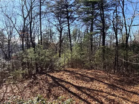 lot27 Bobcat Mountain Rd, Purlear, NC 28665 photo 6