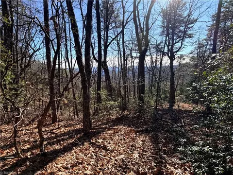 lot27 Bobcat Mountain Rd, Purlear, NC 28665 photo 8