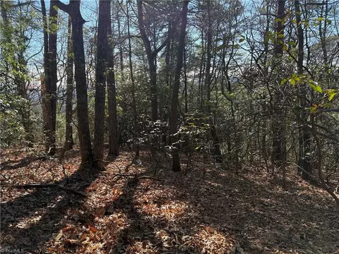 lot27 Bobcat Mountain Rd, Purlear, NC 28665 photo 14