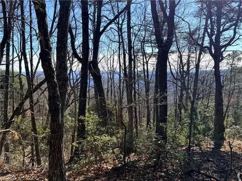 lot27 Bobcat Mountain Rd, Purlear, NC 28665 photo 16
