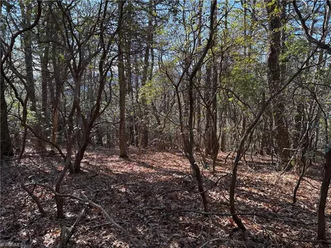 lot27 Bobcat Mountain Rd, Purlear, NC 28665 photo 11