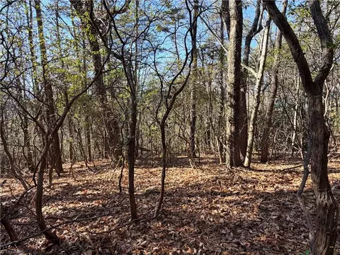 lot27 Bobcat Mountain Rd, Purlear, NC 28665 photo 2
