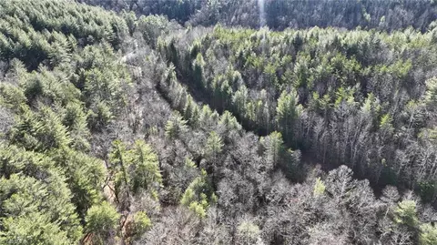 tbd Big Ivy Rd, Purlear, NC 28665 photo 8