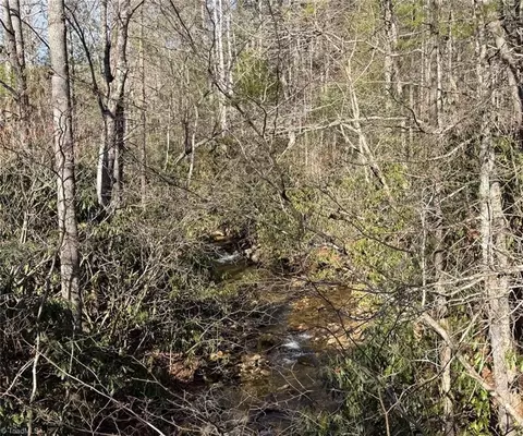 tbd Big Ivy Rd, Purlear, NC 28665 photo 49