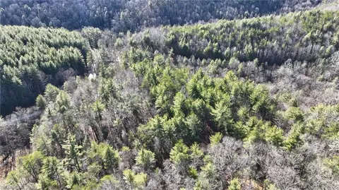 tbd Big Ivy Rd, Purlear, NC 28665 photo 35