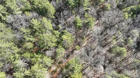tbd Big Ivy Rd, Purlear, NC 28665 photo 6
