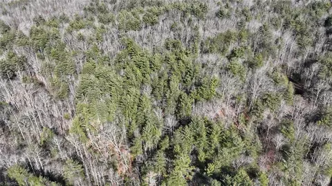 tbd Big Ivy Rd, Purlear, NC 28665 photo 17