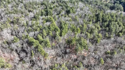tbd Big Ivy Rd, Purlear, NC 28665 photo 30