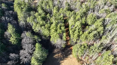tbd Big Ivy Rd, Purlear, NC 28665 photo 44