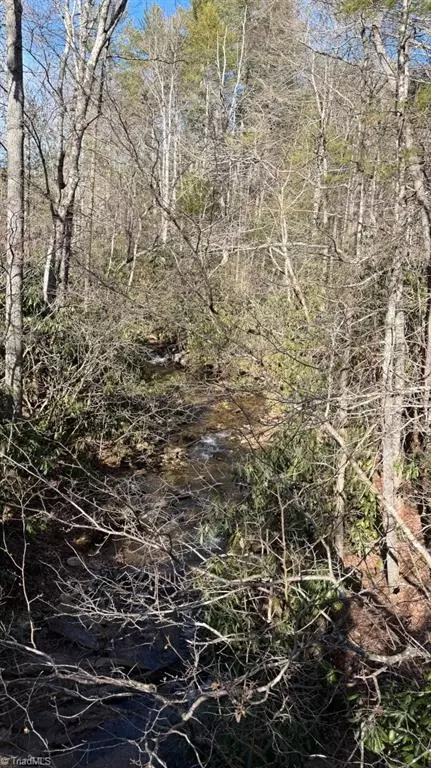 tbd Big Ivy Rd, Purlear, NC 28665 photo 50