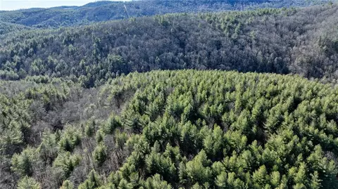 tbd Big Ivy Rd, Purlear, NC 28665 photo 47