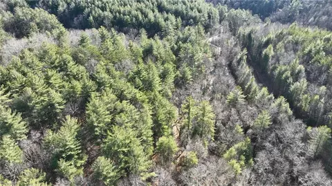 tbd Big Ivy Rd, Purlear, NC 28665 photo 10