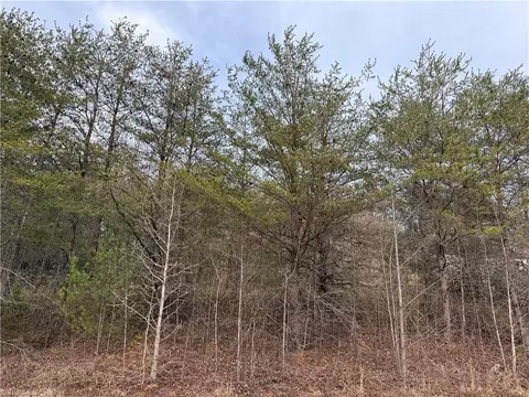 tbd Mount Zion Rd, Ferguson, NC 28624