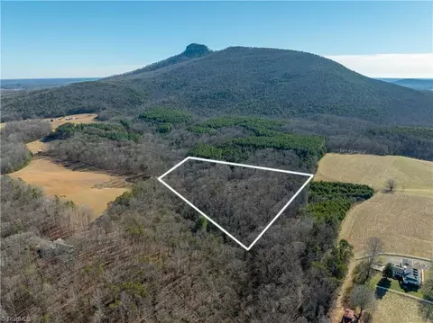 273 Olde Pilot Trl, Pilot Mountain, NC 27041 photo 23