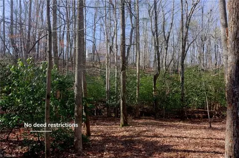 273 Olde Pilot Trl, Pilot Mountain, NC 27041 photo 33