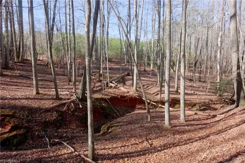 273 Olde Pilot Trl, Pilot Mountain, NC 27041 photo 36