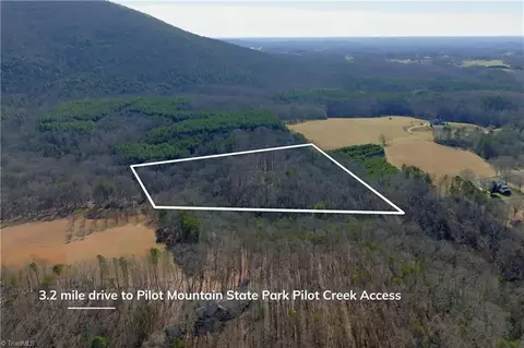 273 Olde Pilot Trl, Pilot Mountain, NC 27041 photo 5
