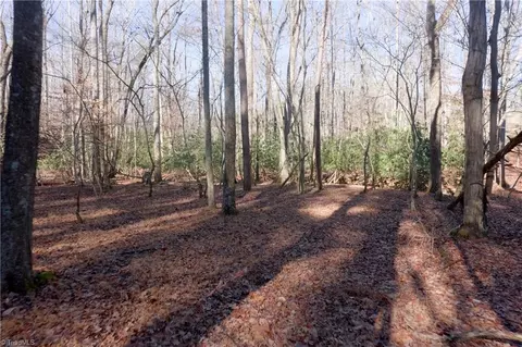 273 Olde Pilot Trl, Pilot Mountain, NC 27041 photo 35