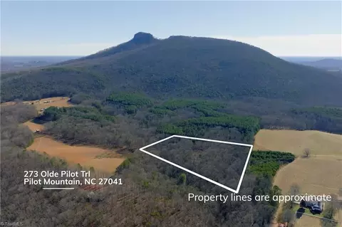 273 Olde Pilot Trl, Pilot Mountain, NC 27041 photo 4