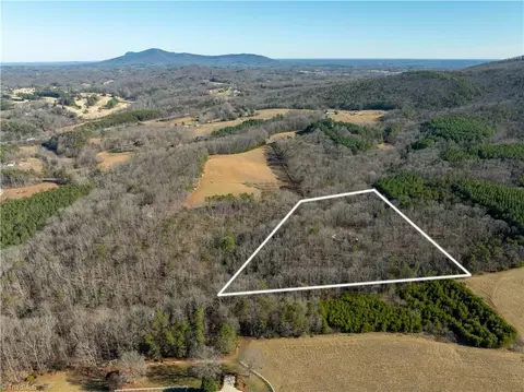 273 Olde Pilot Trl, Pilot Mountain, NC 27041 photo 26