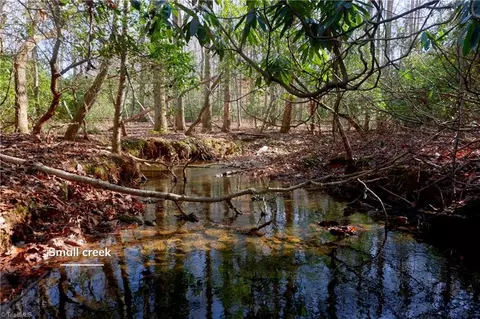 273 Olde Pilot Trl, Pilot Mountain, NC 27041 photo 32