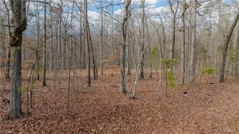 0 Cooper Rd, Staley, NC 27355 photo 25