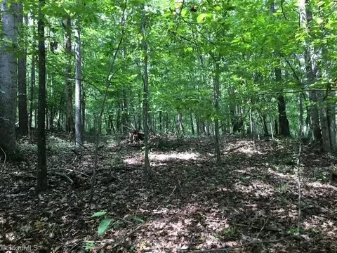 0 Sheets Trl, Germanton, NC 27019 photo 12