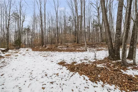 0 Sheets Trl, Germanton, NC 27019 photo 10