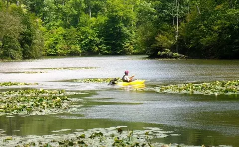0 Sheets Trl, Germanton, NC 27019 photo 29