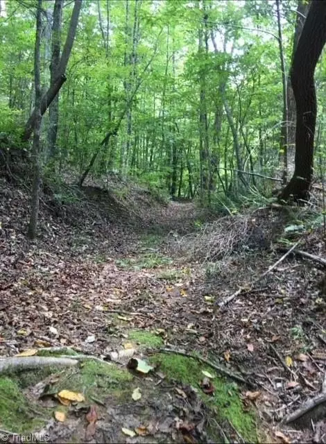 0 Sheets Trl, Germanton, NC 27019 photo 22
