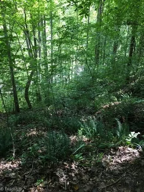 0 Sheets Trl, Germanton, NC 27019 photo 11