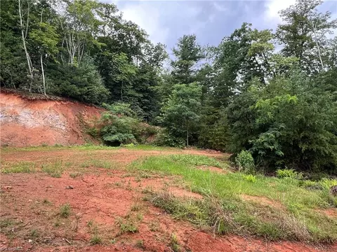 tbd Staghorn Rd, Purlear, NC 28665 photo 25